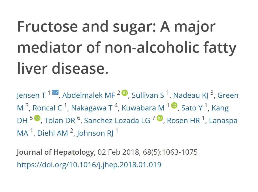 Referência da revisão sobre a frutose e o açúcar como mediadores da doença hepática gordurosa não alcoólica, com título, autores, revista e DOI