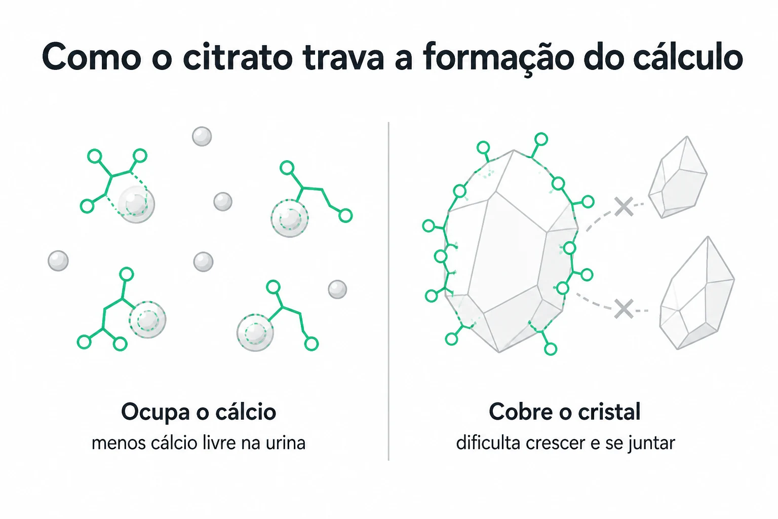 Infográfico mostrando o citrato ligando-se ao cálcio na urina e impedindo que os cristais cresçam e se juntem
