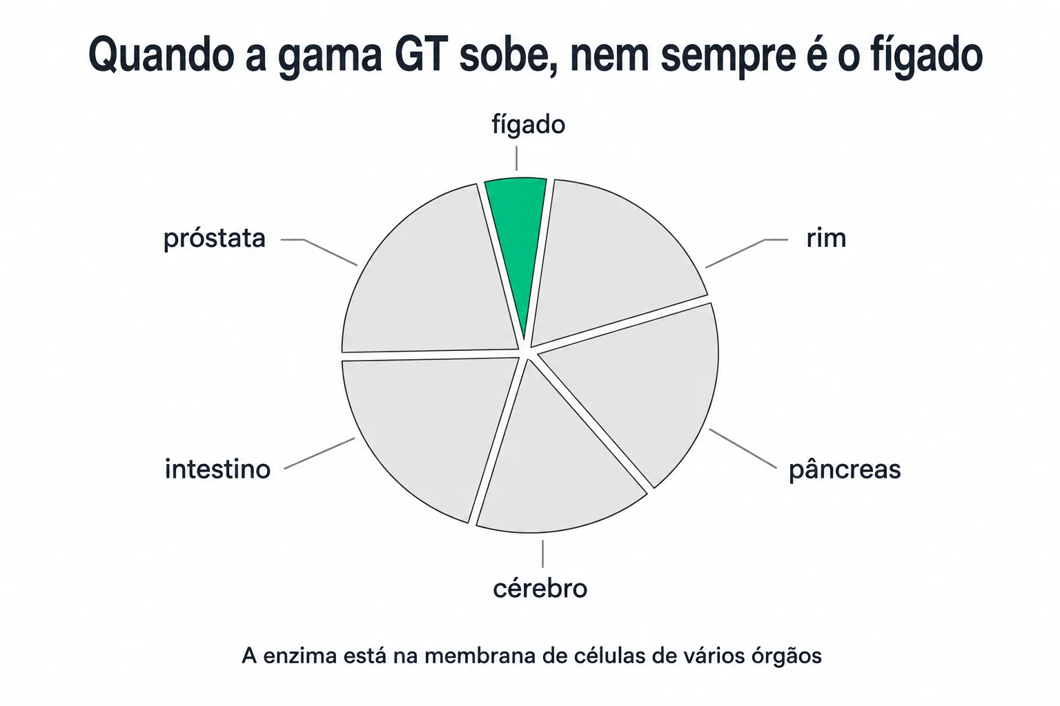 Círculo dividido em seis partes desiguais, com a menor delas destacada e ligada ao fígado, e as outras cinco ligadas a rim, pâncreas, cérebro, intestino e próstata