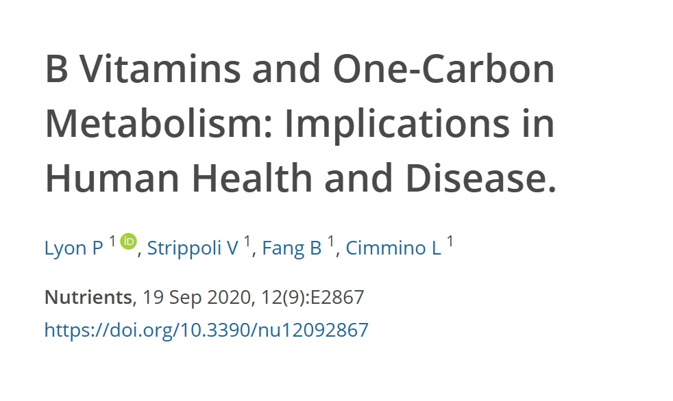 Referência do estudo de revisão sobre vitaminas do complexo B e o metabolismo de um carbono, com título, autores, revista e DOI