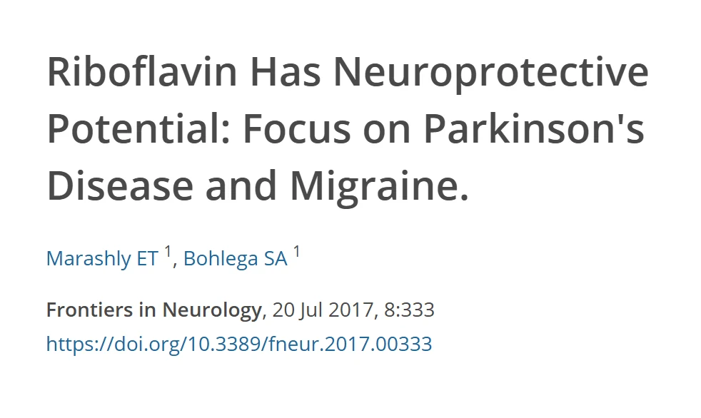 Referência da revisão sobre o potencial neuroprotetor da riboflavina, com título, autores, revista e DOI