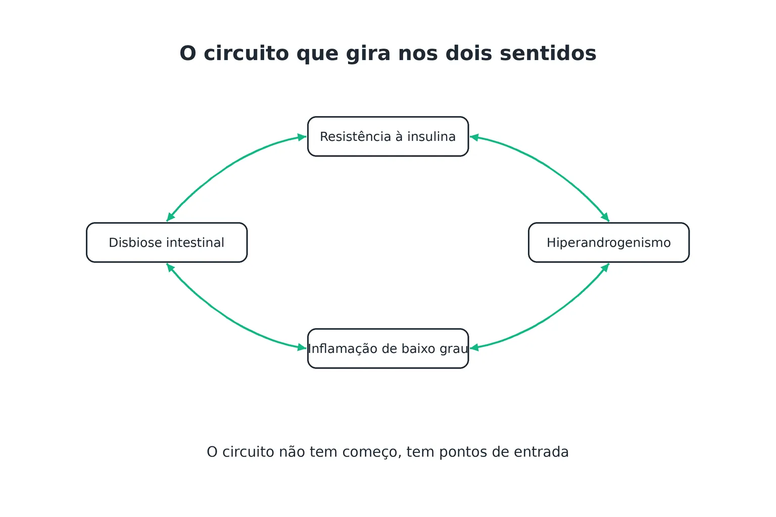 Infográfico do ciclo bidirecional entre resistência à insulina, hiperandrogenismo, inflamação e disbiose