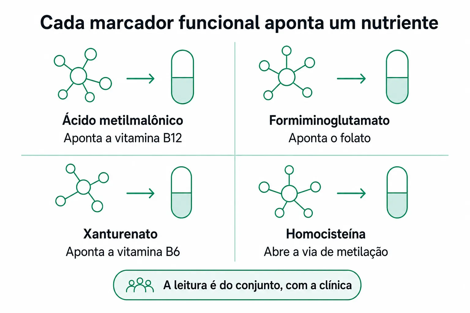Infográfico ligando cada marcador funcional ao seu nutriente: ácido metilmalônico para B12, formiminoglutamato para folato, xanturenato para B6 e homocisteína conectando a via de metilação