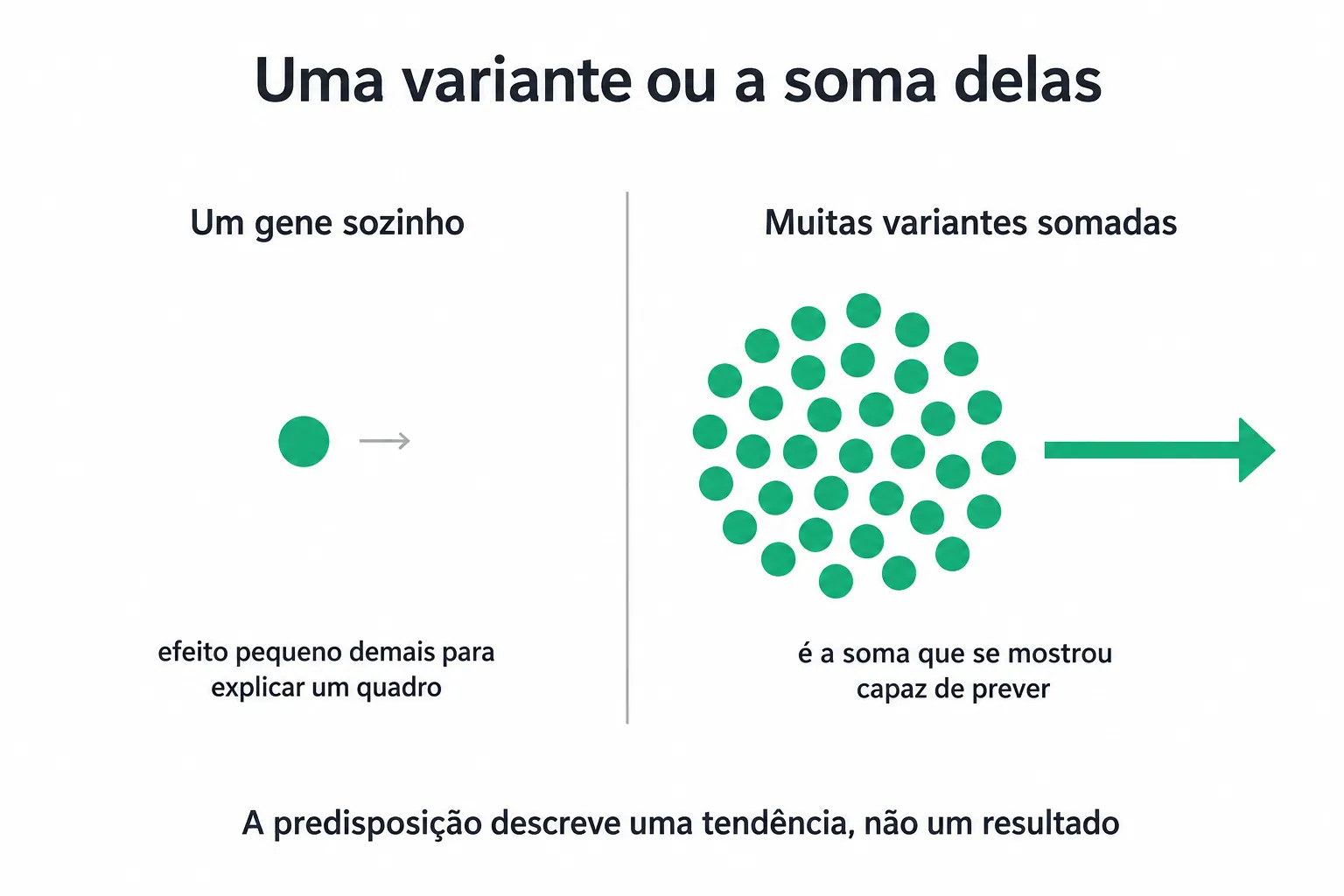 Comparação entre uma única variante isolada, com efeito mínimo, e um conjunto de muitas variantes somadas, com efeito claro